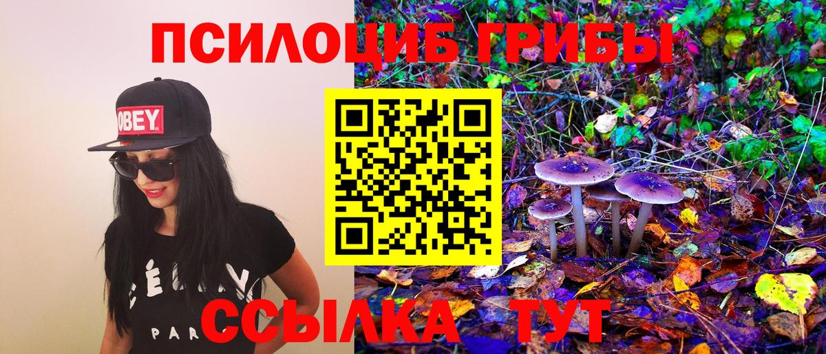даркнет сайт  Псилоцибиновые грибы MAGIC MUSHROOMS  Вход с VPN  Нижний Новгород 
