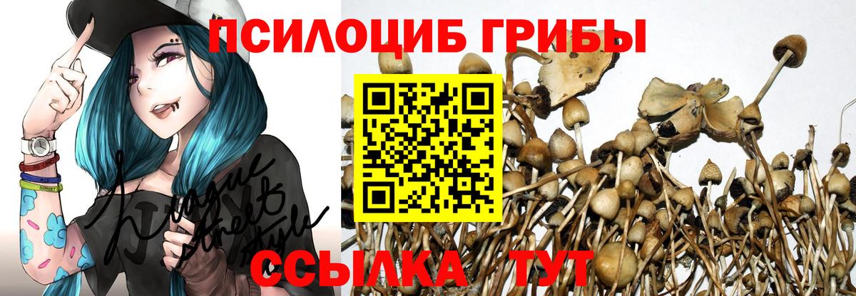 Псилоцибиновые грибы Magic Shrooms Нижний Новгород